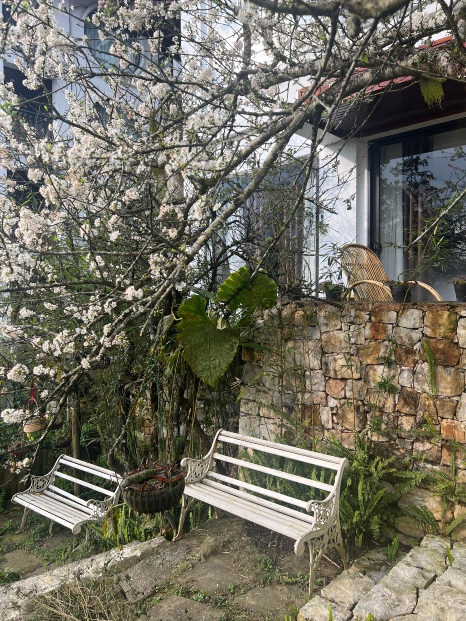 Green Villa Sapa Εξωτερικό φωτογραφία
