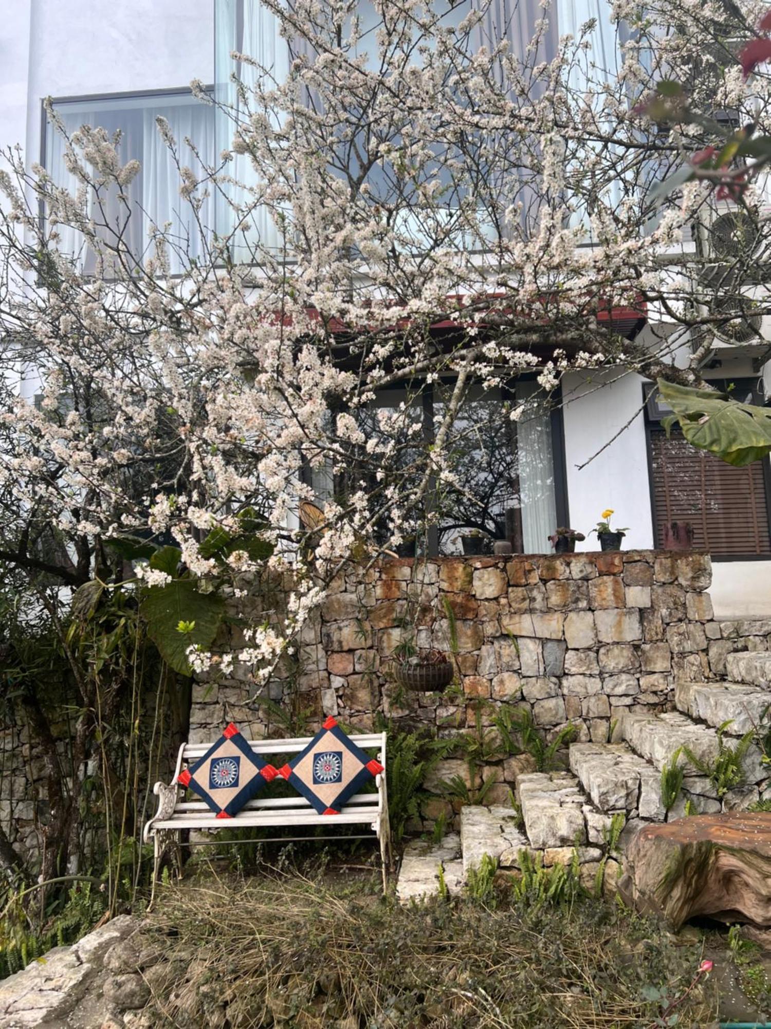 Green Villa Sapa Εξωτερικό φωτογραφία